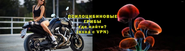 a pvp Белокуриха