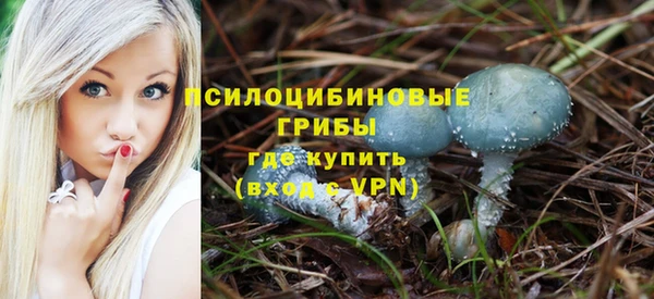 метамфетамин Богородицк