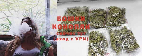 ECSTASY Богородск
