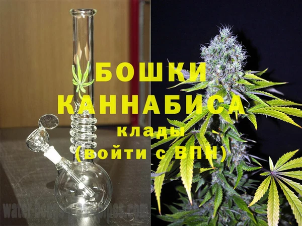 a pvp Белокуриха
